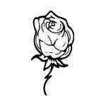 Rose Sticker 98