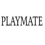 Playmate Sticker