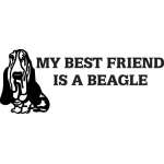 My Best Friend is a Beagle Sticker