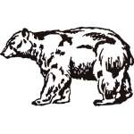 Bear Sticker 2