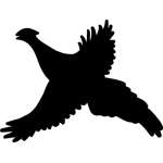Pheasant Sticker