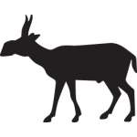 Antelope Sticker 2