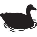 Duck Sticker 36