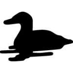 Duck Sticker 41