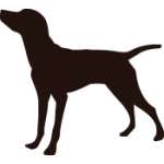 Pointer Dog Sticker 3
