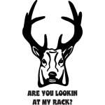 Are you Lookin At My Rack Deer Sticker