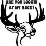 Are you Lookin At My Rack Deer Sticker 2