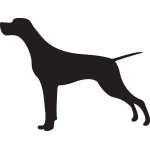 Pointer Dog Sticker 11