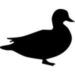 Duck Sticker 74