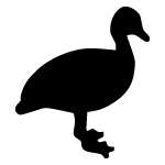 Duck Sticker 79