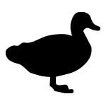 Duck Sticker 81