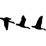 3 Ducks Flying Sticker 2