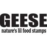 Geese Natures Lil Food Stamps Sticker