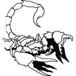Scorpion Sticker 2