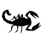 Scorpion Sticker 9