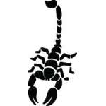 Scorpion Sticker 18