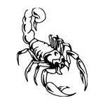 Scorpion Sticker 31
