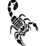 Scorpion Sticker 33