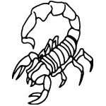 Scorpion Sticker 35