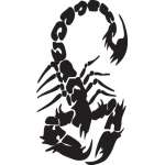 Scorpion Sticker 42