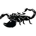 Scorpion Sticker 45