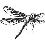 Dragonfly Sticker 68