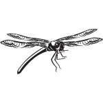 Dragonfly Sticker 70