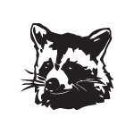 Raccoon Sticker 2