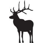 Elk Sticker 3