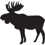Moose Sticker 9