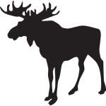 Moose Sticker 18