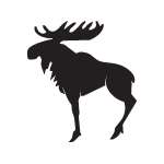 Moose Sticker 20