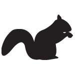 Squirrel Sticker 9