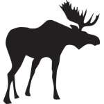 Moose Sticker 32