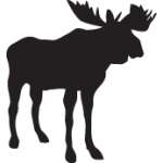 Moose Sticker 34