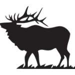Elk Sticker 21