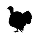 Turkey Sticker 21