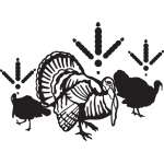 Turkeys with Prints Sticker 2