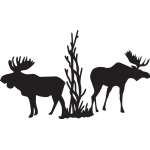 2 Moose in Trees Sticker