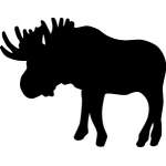 Moose Sticker 38