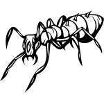 Predatory Insect Sticker 41