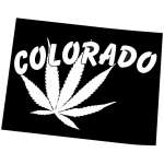 Colorado Marijuana Sticker