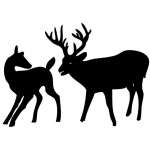 Deer Couple Sticker