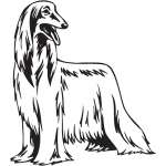 Alghan Hound Dog Sticker