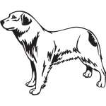 Aidi Dog Sticker
