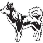 Alaskan Klee Kai Dog Sticker