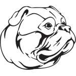 American Akita Dog Sticker