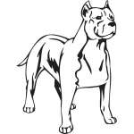 American Staffordshire Terrier Dog Sticker
