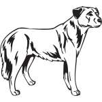 Anatolian Shepherd Dog Sticker