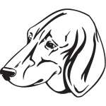 Anglo-Francais de Petite Venerie Dog Sticker